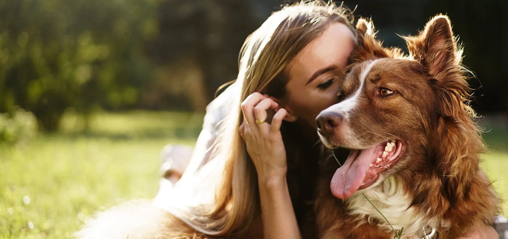 A woman hugging her brown and white dog in a sunny field
